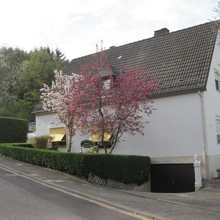 Ferienwohnung Weber Schleiden Zewnętrze zdjęcie